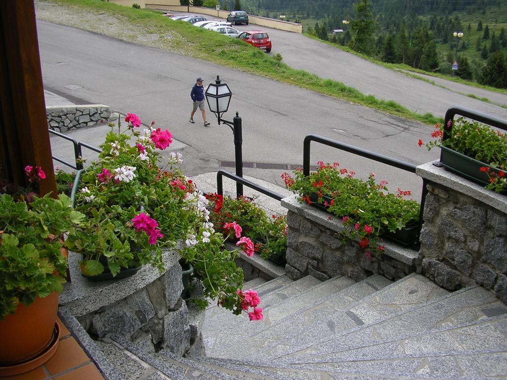 Orchidea 3* Passo del Tonale