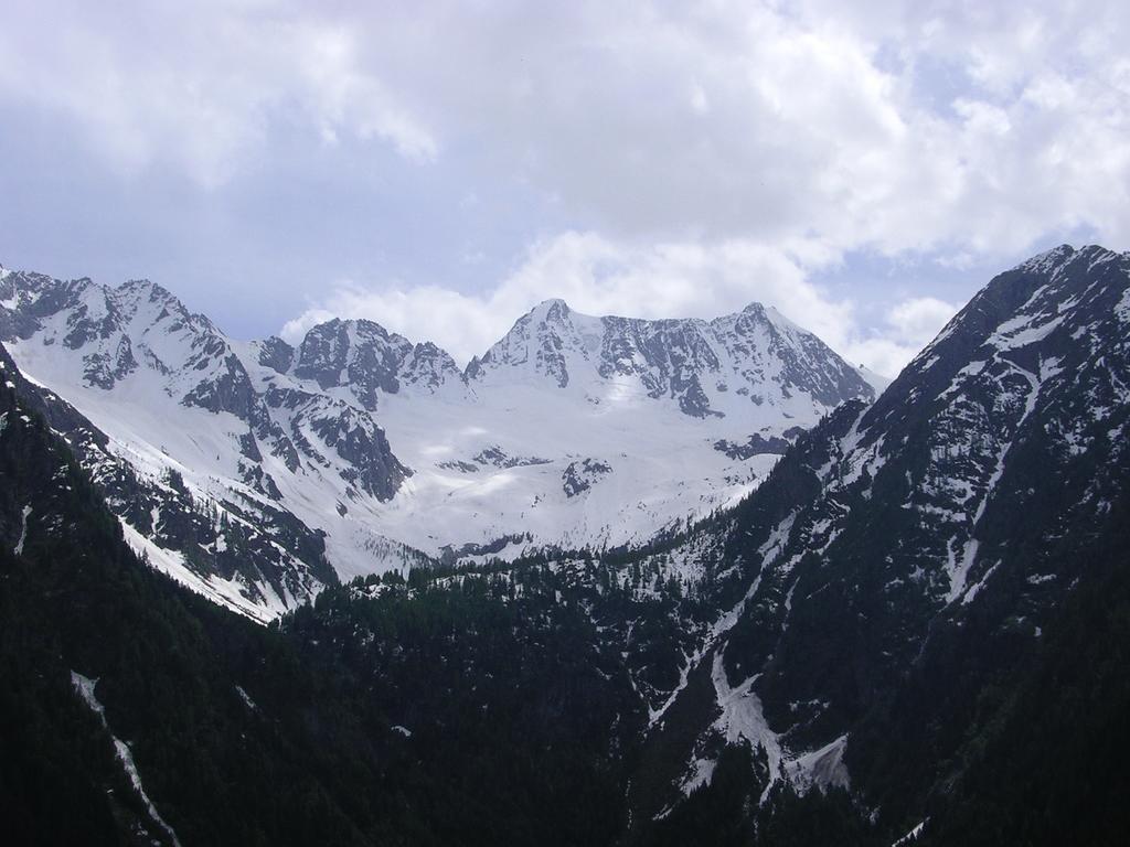 Orchidea 3* Passo del Tonale