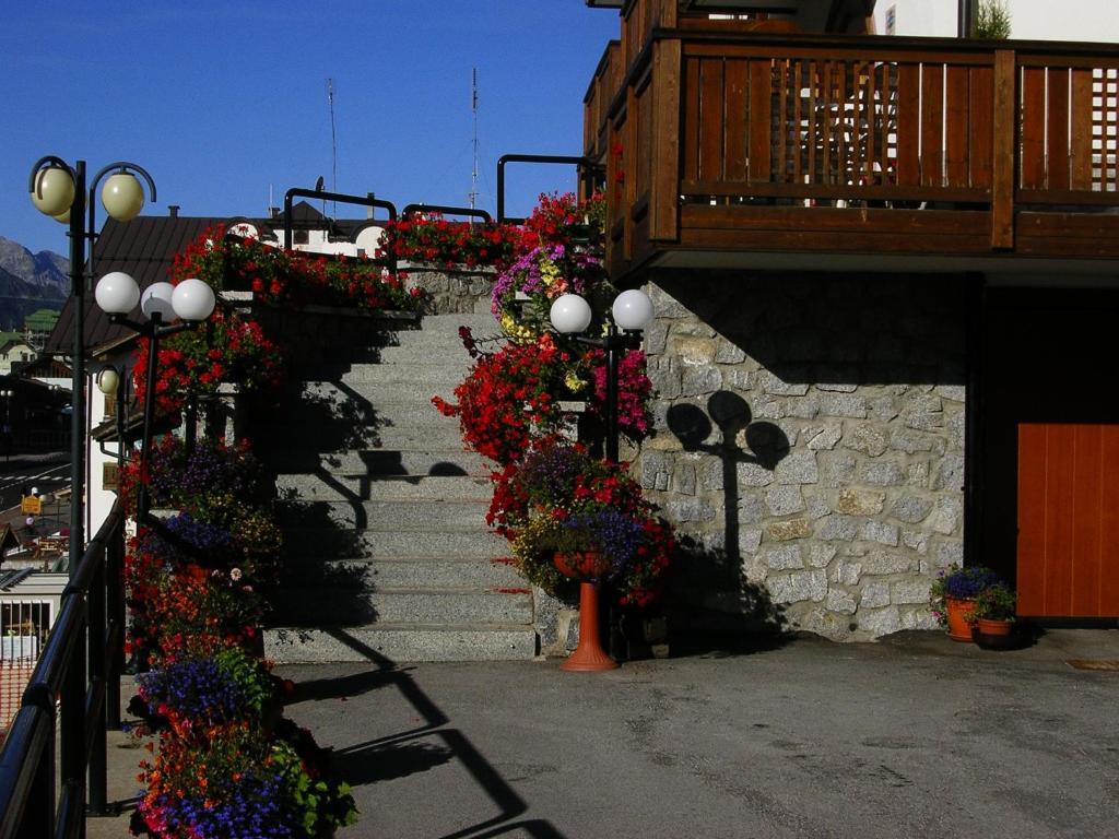 Orchidea 3* Passo del Tonale
