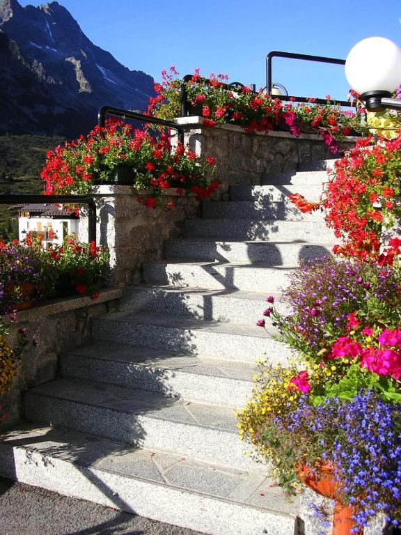 Hotel Orchidea Passo del Tonale
